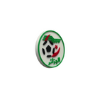 LOGO FÉDÉRATION ALGÉRIENNE DE FOOTBALL - PIN'S